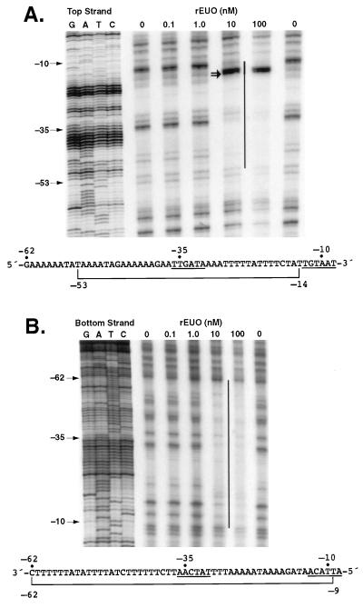 FIG. 6