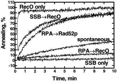 Fig 1.