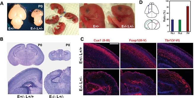 Figure 2.