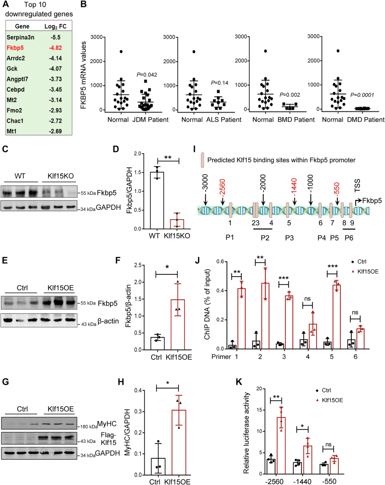 Figure 6