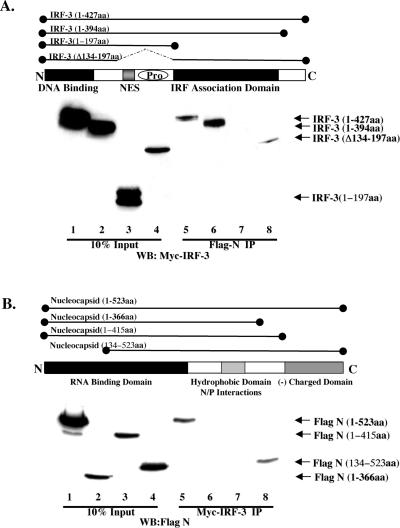 FIG. 7.