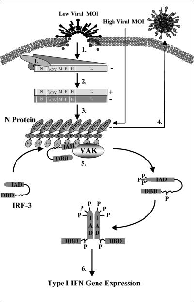 FIG. 8.