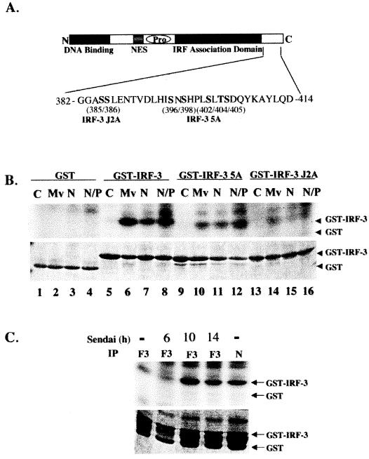 FIG. 6.