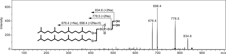 FIG 3