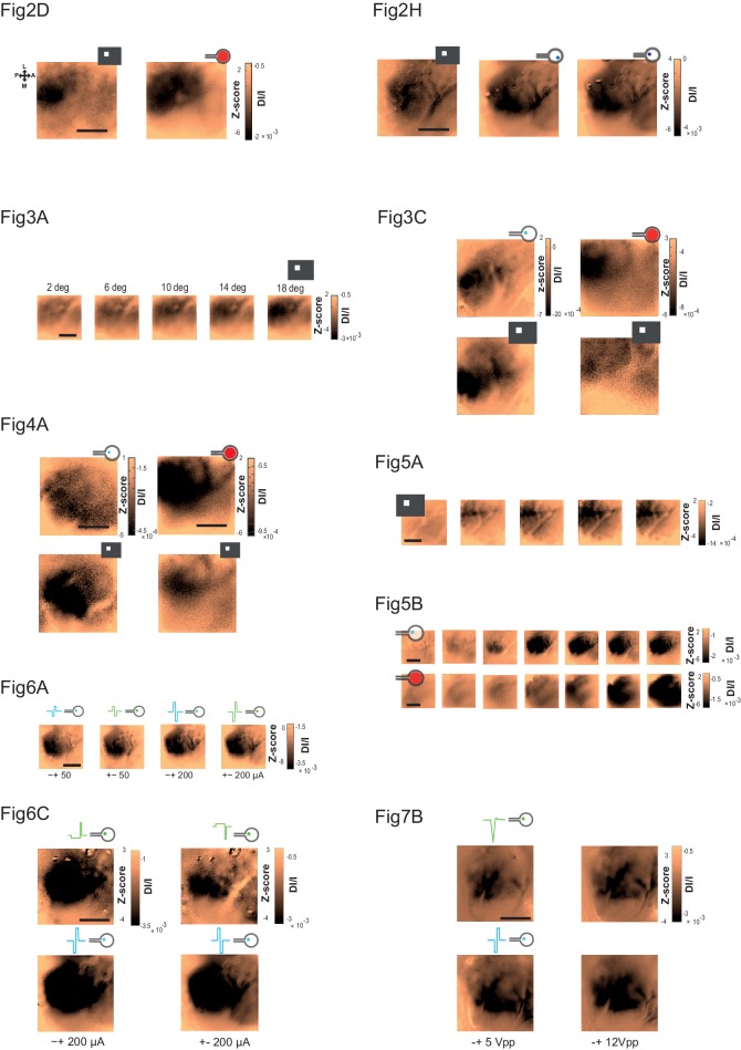 Figure 2—figure supplement 1.