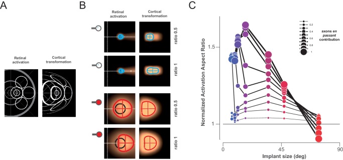 Figure 4—figure supplement 2.