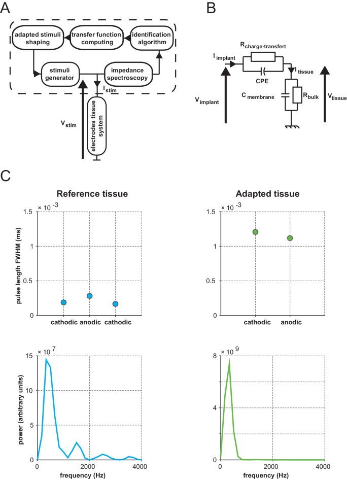 Figure 7—figure supplement 1.