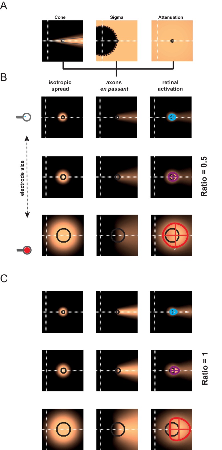 Figure 4—figure supplement 1.