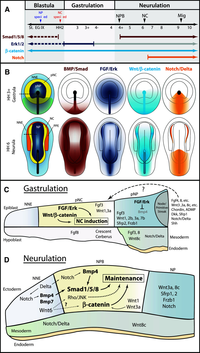 Fig. 4