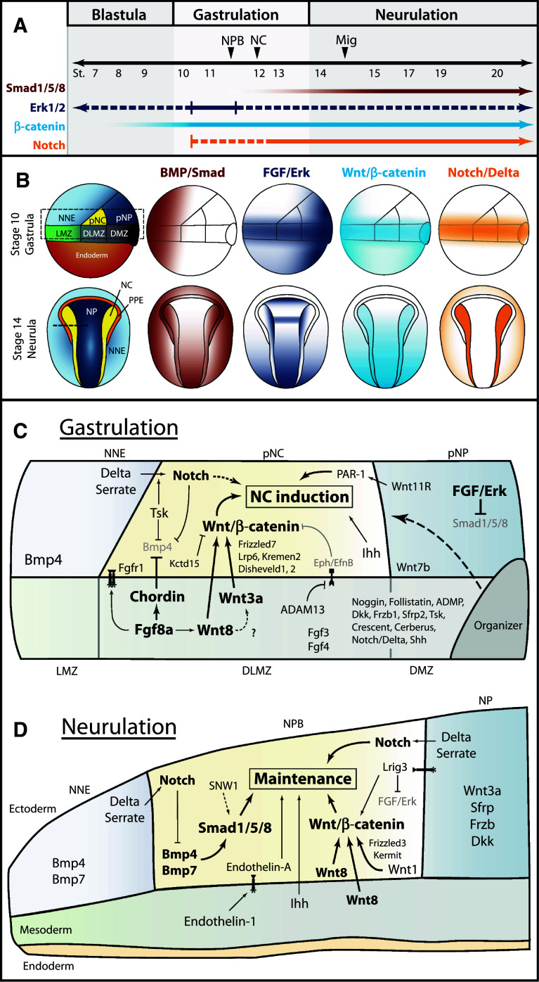 Fig. 3
