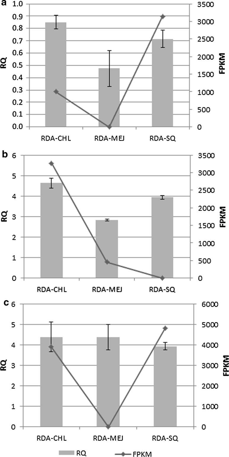 Fig. 3