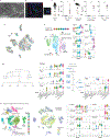 Extended Data Fig. 1 |