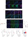 Extended Data Fig. 9 |