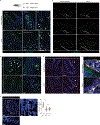 Extended Data Fig. 2 |