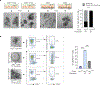 Extended Data Fig. 7 |