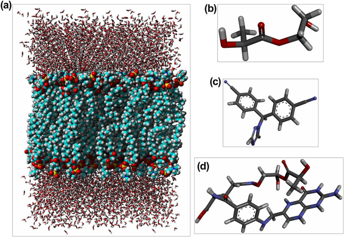 FIGURE 1