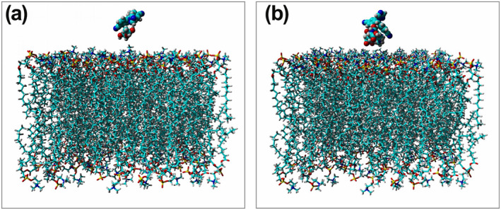 FIGURE 3