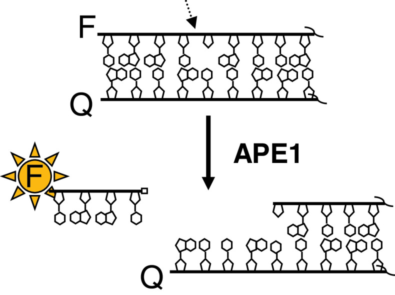 Fig. 4