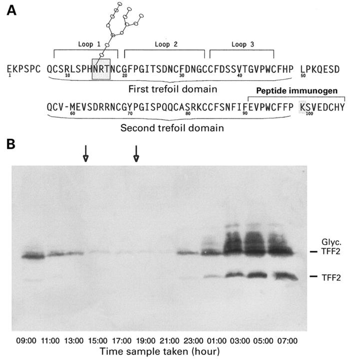 Figure 1  