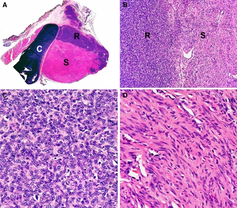 Fig. 3