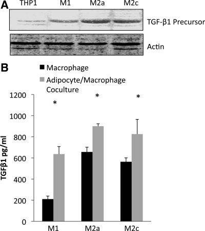 Fig. 9.