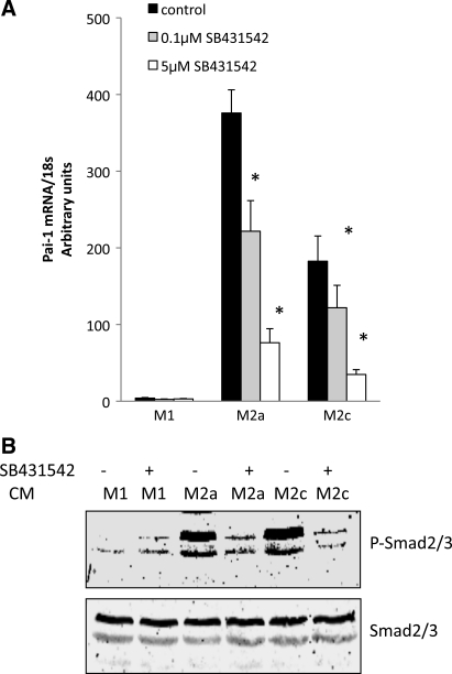 Fig. 10.