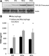 Fig. 9.