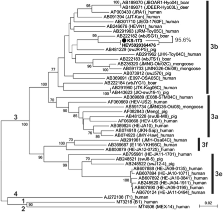 Fig. 2