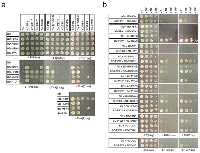 Extended Data Fig. 8