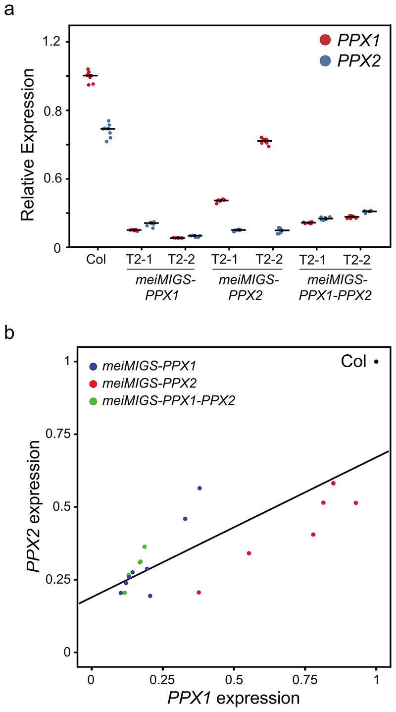 Extended Data Fig. 5