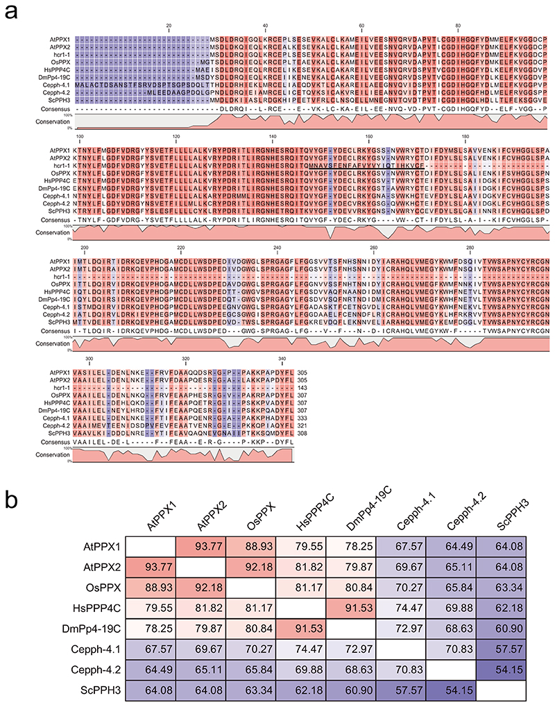 Extended Data Fig. 4