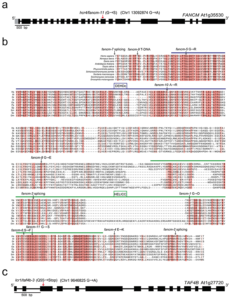 Extended Data Fig. 2