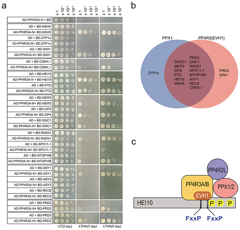 Extended Data Fig. 9