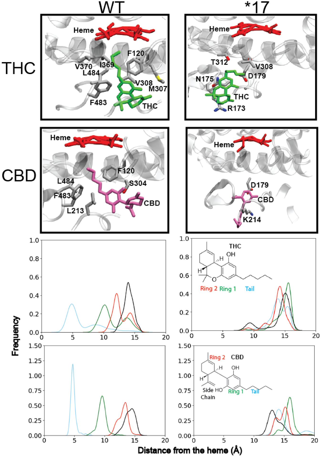 Figure 4: