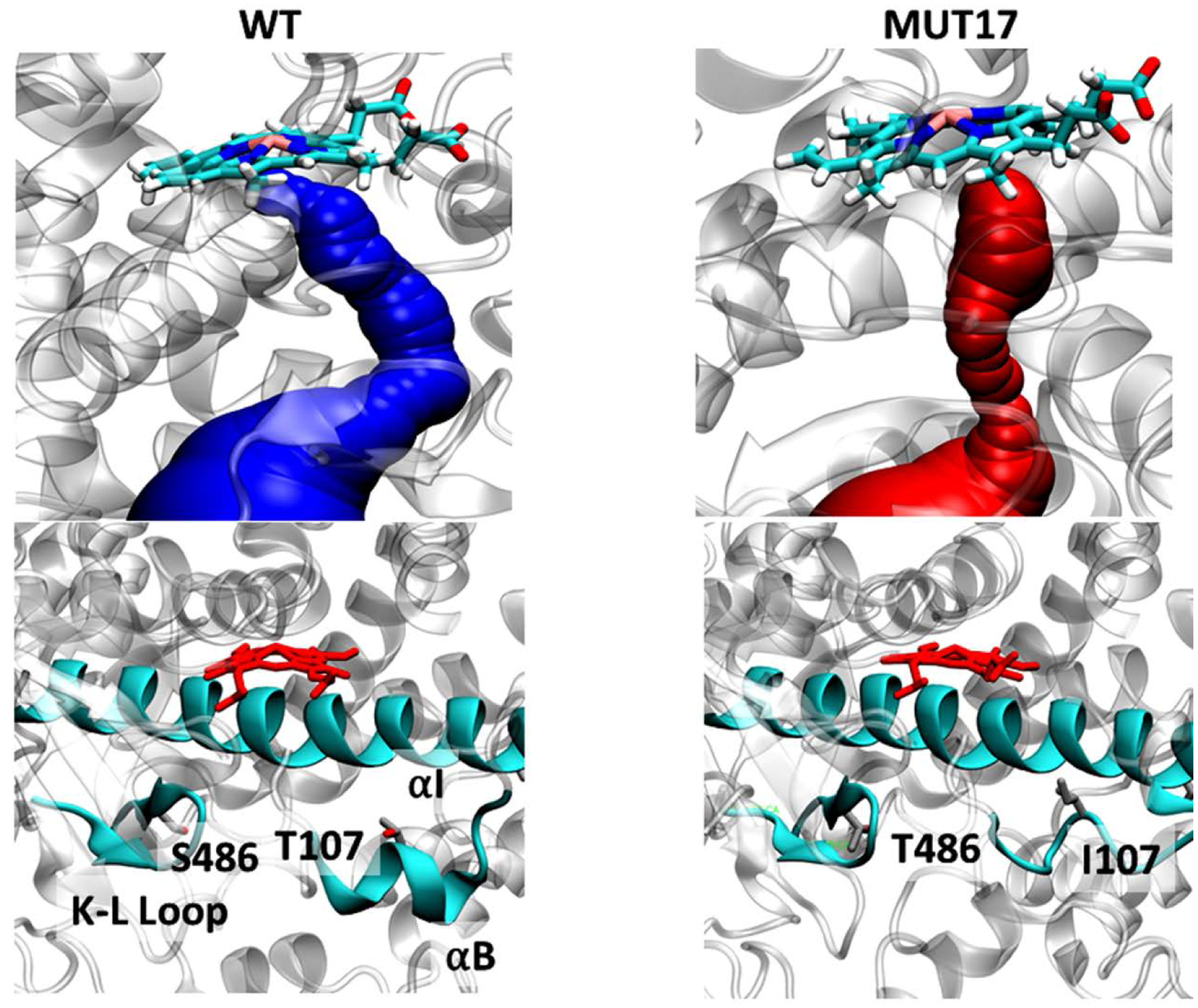 Figure 3: