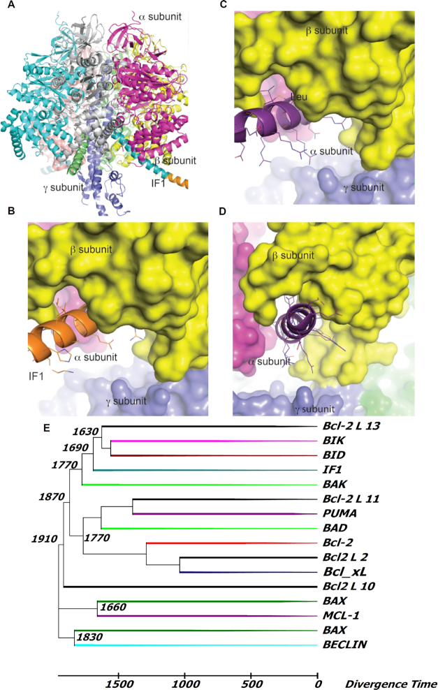 Figure 6.