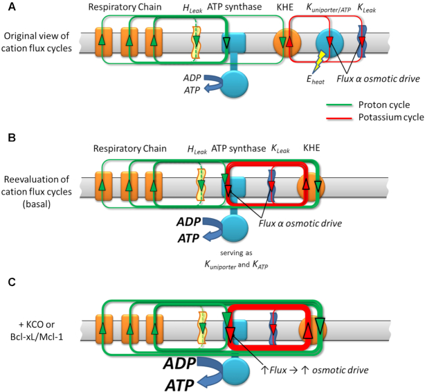 Figure 5.