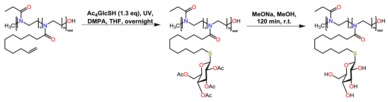 Scheme 5