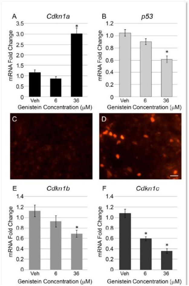 Figure 3: