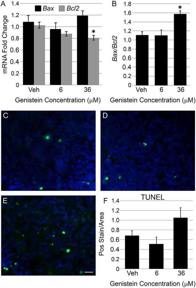 Figure 4: