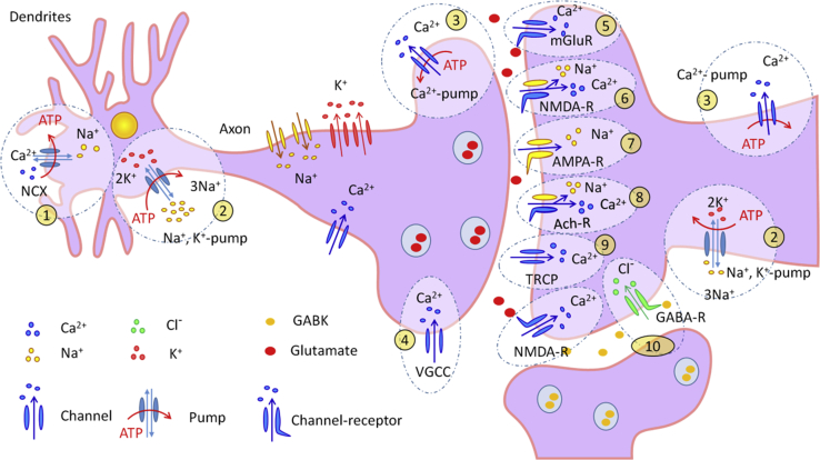 Figure 1