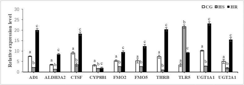 Fig. 8