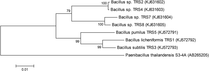 Figure 2