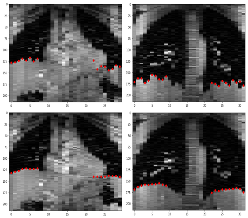 Fig. 8