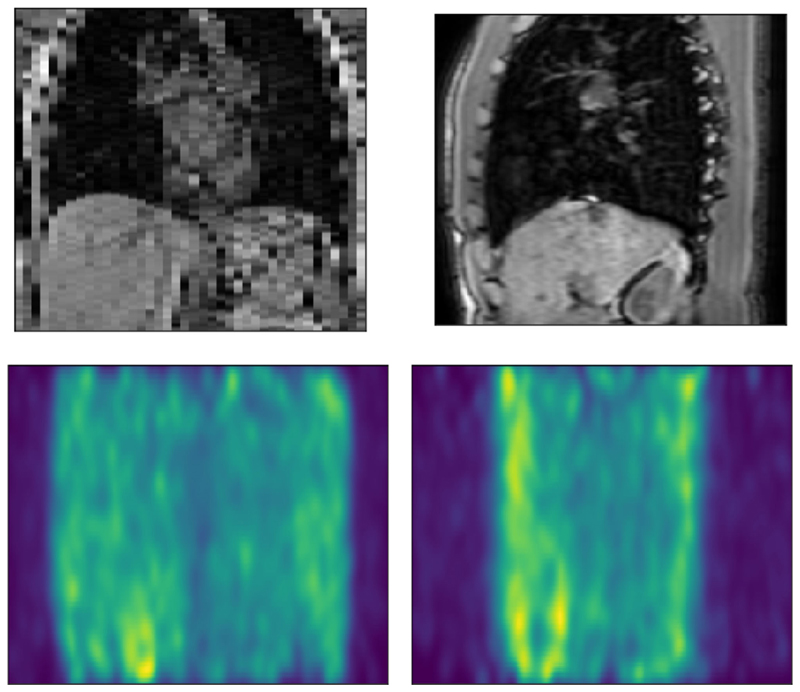 Fig. 9