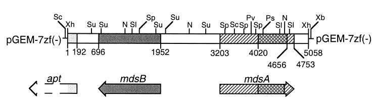 FIG. 1