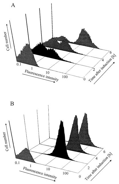 FIG. 4