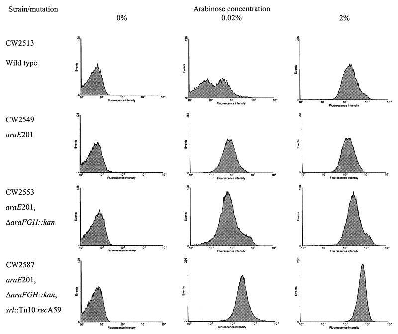 FIG. 3