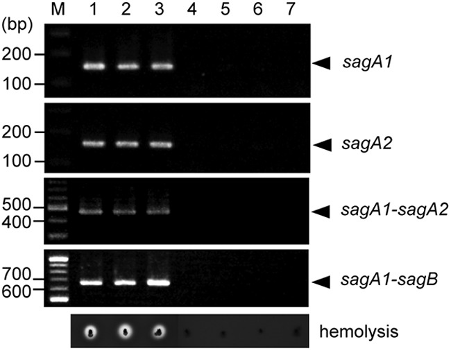 Fig 7