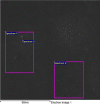 Fig. 10